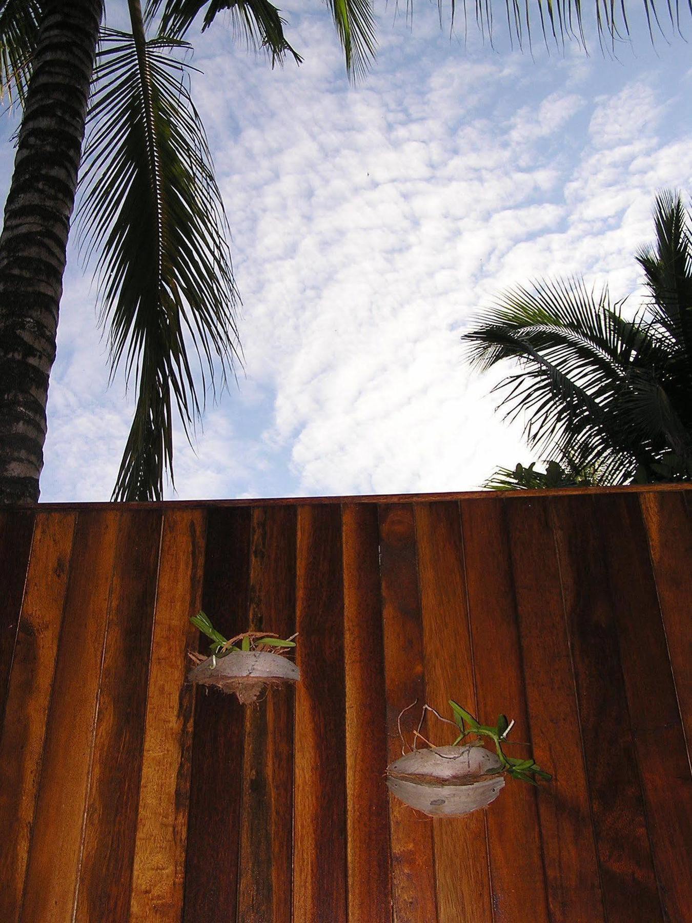 North Borneo Biostation Resort Кудат Экстерьер фото