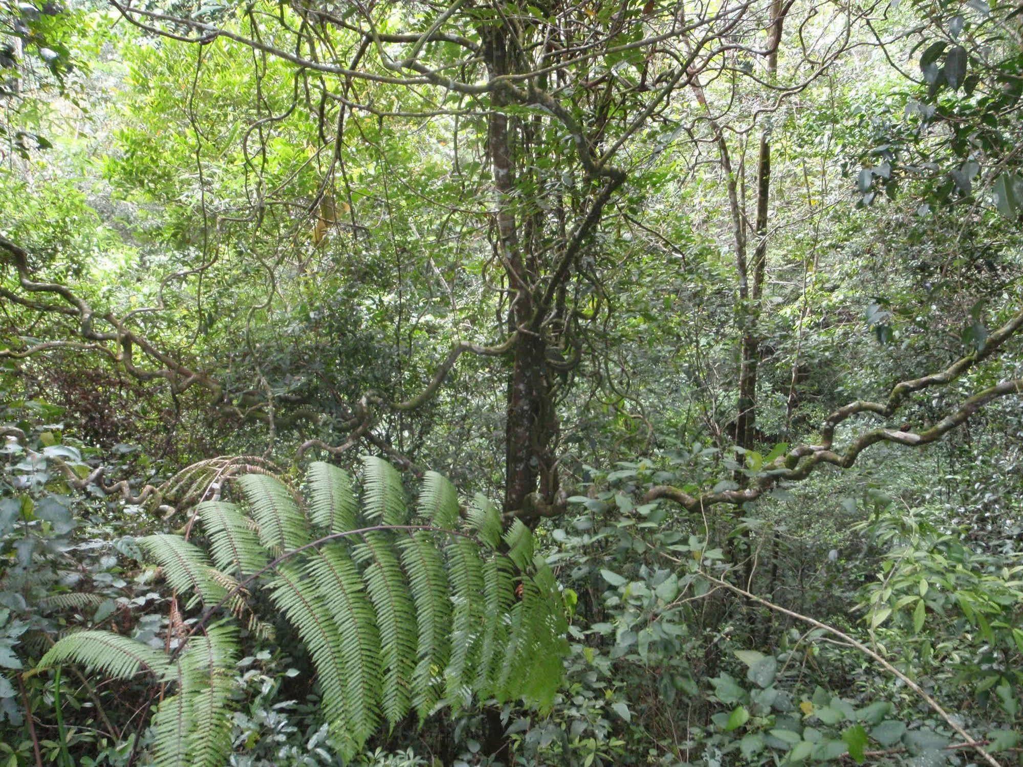 North Borneo Biostation Resort Кудат Экстерьер фото